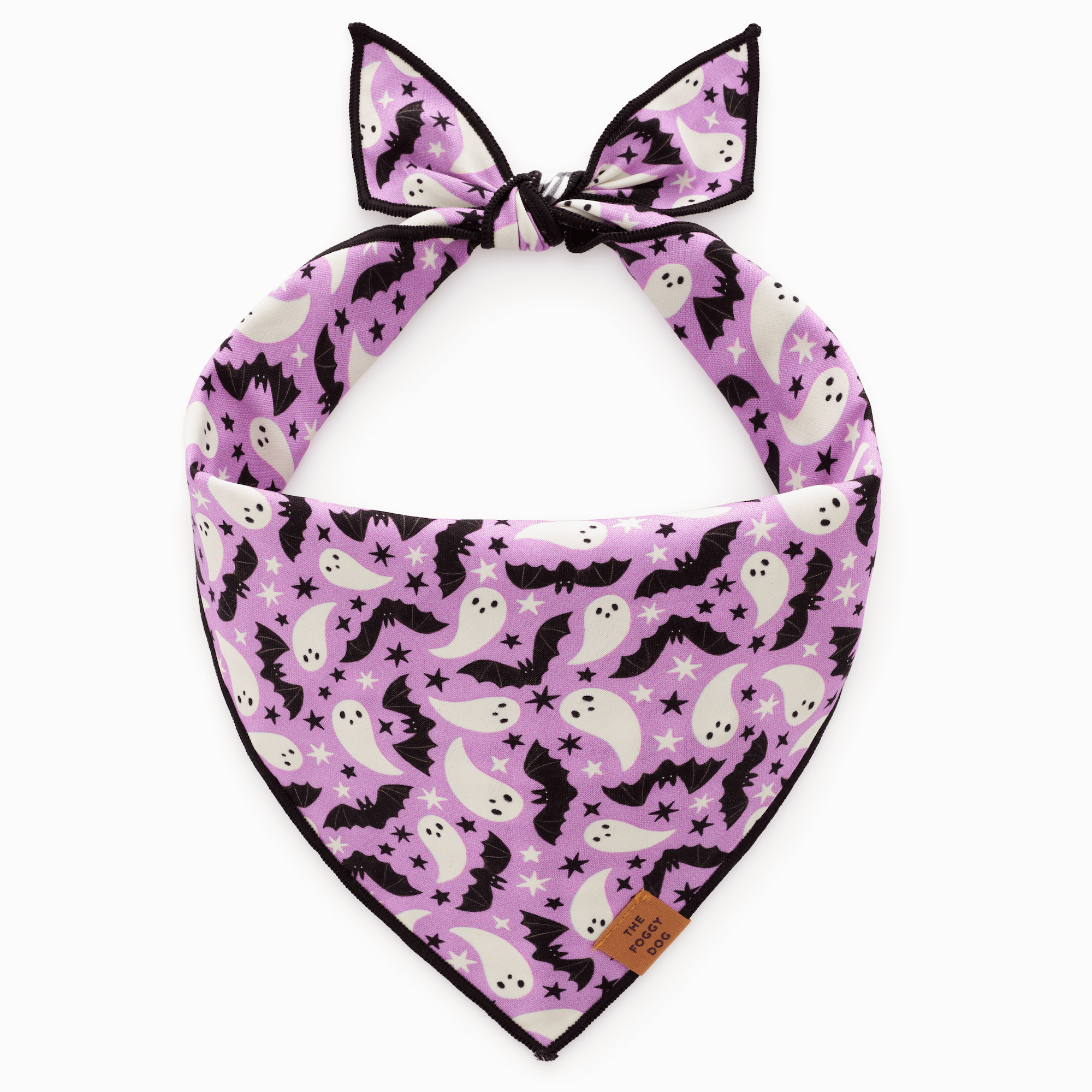 Spooky Season Reversible Dog Bandana